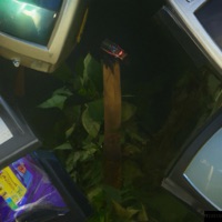 SickBug {7.4.23} Freestyles - Artificial Intelligence