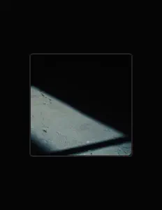 Listen to Pigeoctric, watch music videos, read bio, see tour dates & more!