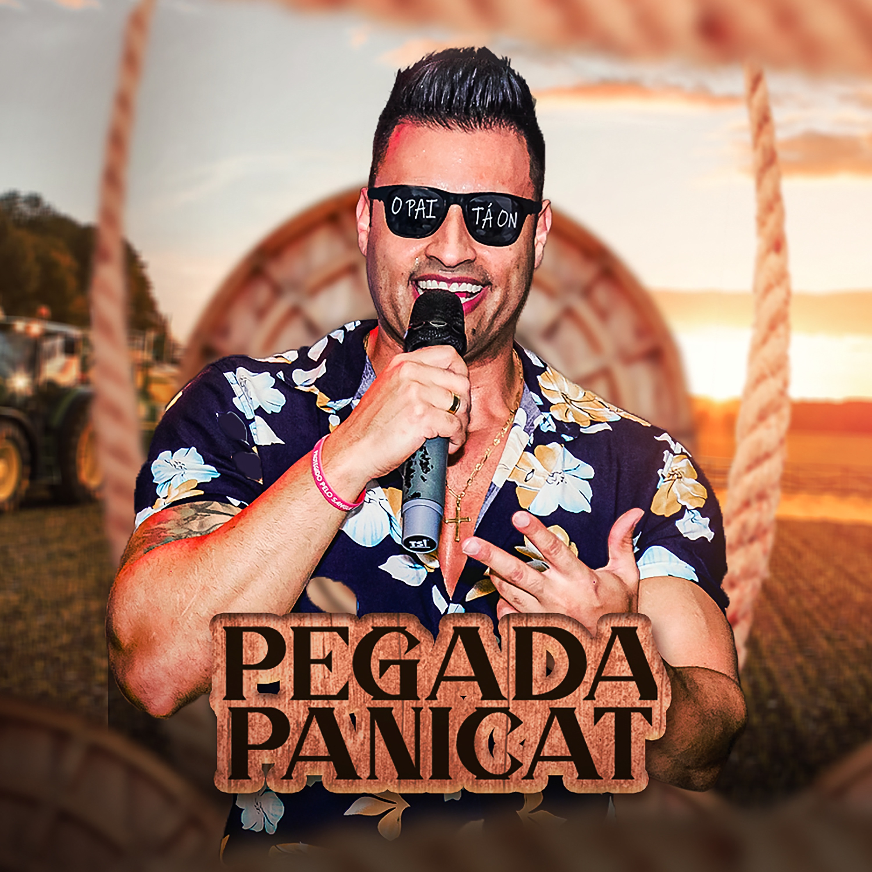 Pegada Panicat - Single