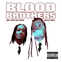 BLOOD BROTHERS (feat. Mel Wit Da Scale) - Single - MoneyMall