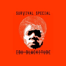 Crying (feat. Defisis) Ebu Blackitude