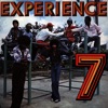 Experience 7