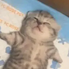 Poslechněte si interpreta pngwn, sledujte hudební videa, přečtěte si životopis, podívejte se na data turné a další informace.