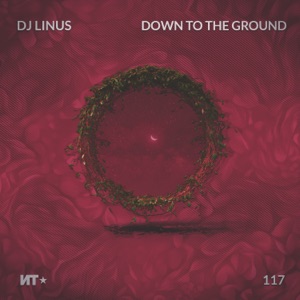 Down to the Ground - EP