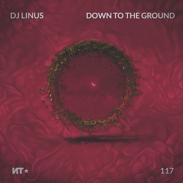 Down to the Ground - EP