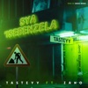 SyaIsebenzela - Single (feat. Zano) - Single