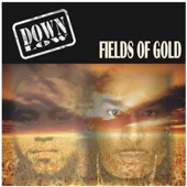 Fields of Gold (Orchestra Version) artwork
