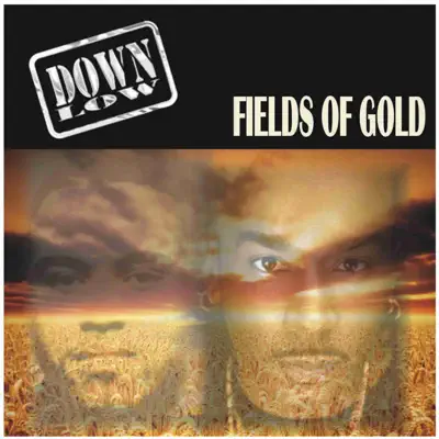 Fields of Gold - Single - Down Low