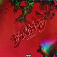 FAKE (feat. XO Vasco) - Single - Plxg1ns