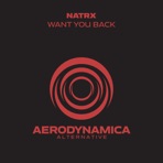 Want You Back - Single