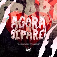 Agora Me Separei (feat. Mc Rennan) - Single - Mc Laranjinha, DJ Vitin do PC & DJ BIEL SB