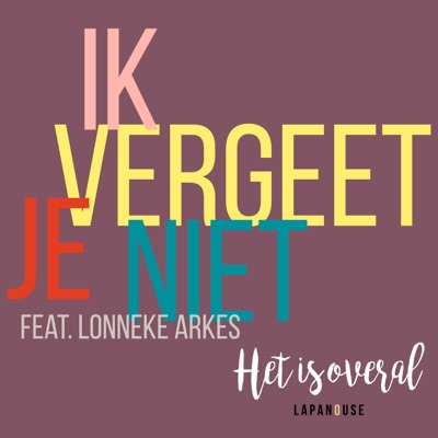 Ik Vergeet Je Niet (feat. Lonneke Arkes) - Single
