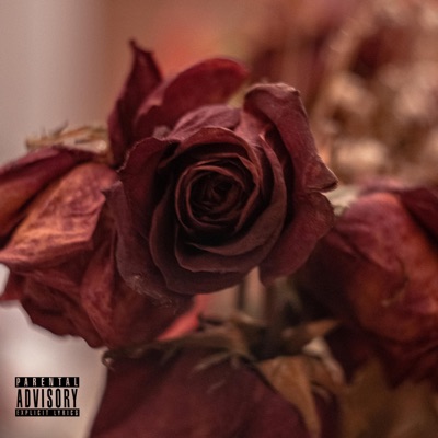 Amber's Rose (feat. Amber Hill) - Single