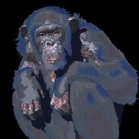 Album cover for Twin Moons/Bearwolf, Pt. 1 - Single by My Friend The Chimpanzee