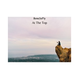 At the Top BoneSoFly