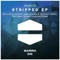 Stripped (Alan Hash & Martin Kinrus Remix) - 2Robots lyrics