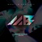 Birds of Pray - Andrea Signore lyrics