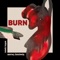 Burn - Sertaç Özgümüş & Deniz Taşar lyrics