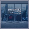 Dragostea Din Tei - Single