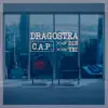Dragostea Din Tei