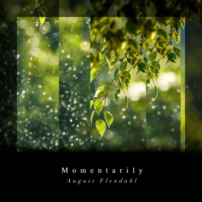 Momentarily - Single