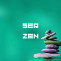 Ser Zen (feat. Vitrola Digital & Alexandre Bagam) - Single - Iran Bz