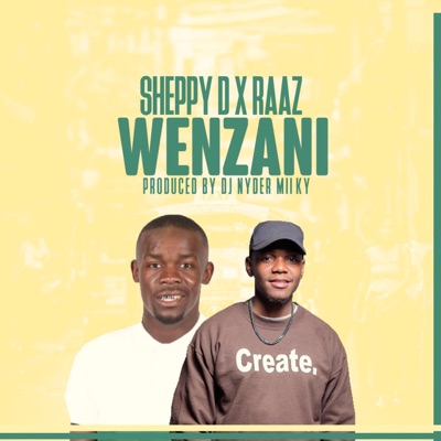 Wenzani (feat. Sheppy D) - Single