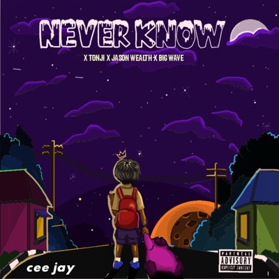 Never know (feat. Ceejay, Tonji & Jasonwealth) - Single