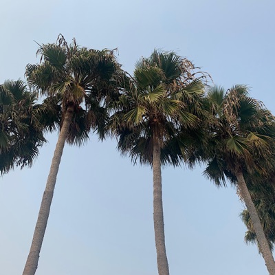 Easy Love (Devin O'bannon Remix) - Single