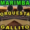 La Cumbia - Marimba Orquesta Gallito lyrics