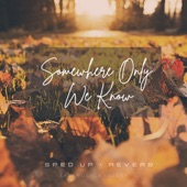 Somewhere Only We Know (Sped up + Reverb) [Remix] artwork