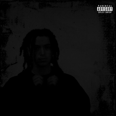 Goin2damoon! - Single