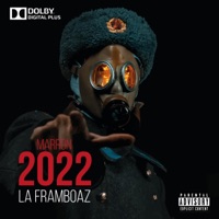 MARRON - Single - La Framboaz