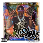 Long Live DJ Shay artwork