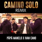 Camino Solo (Remix) artwork