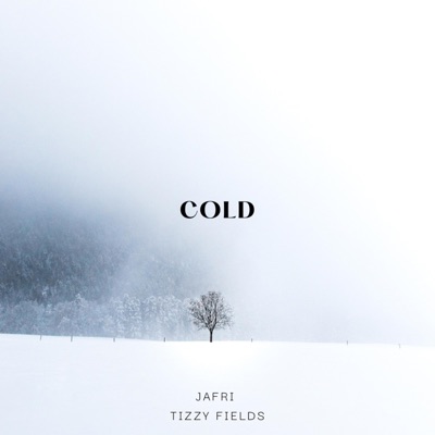 Cold (feat. Tizzy Fields) - Single