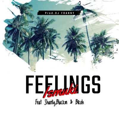 Feelings (feat. Shanty, BlackM & Bikoh) - Single