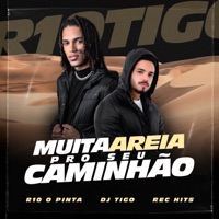 Muita Areia pro Seu Caminhão - Single - R10 o Pinta, Dj Tigo & Rec Hits