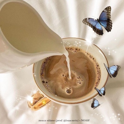 Mocca Sidamo - Single