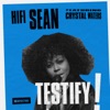 Testify (feat. Crystal Waters) [Radio Edit] - Single