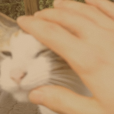 A Story of a Homeless Cat - Single