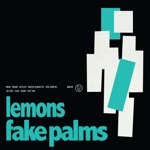 Fake Palms - Visions