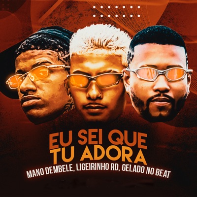 Eu Sei Que Tú Adora (Remix) - Single