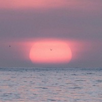 Healing - Single - Sean Dream