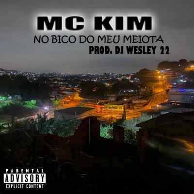 No Bico do Meu Meiota - Single