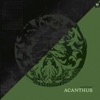 Earthnut - Fae Flourish (Gru Var Remix)