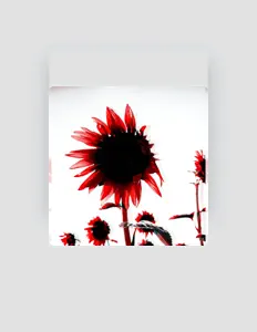 MARXEZXを聴いたり、ミュージックビデオを鑑賞したり、経歴やツアー日程などを確認したりしましょう！