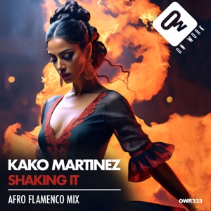 Shaking it (Afro flamenco Mix) - Single