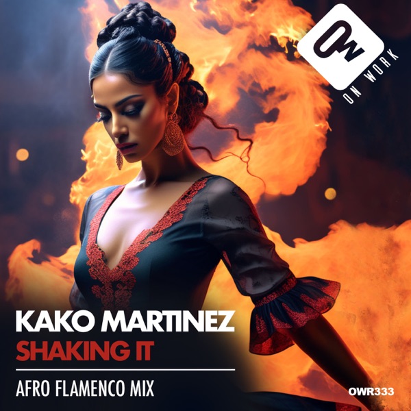 Shaking it (Afro flamenco Mix) - Single