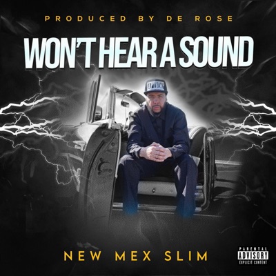 Won't Hear a Sound - Single